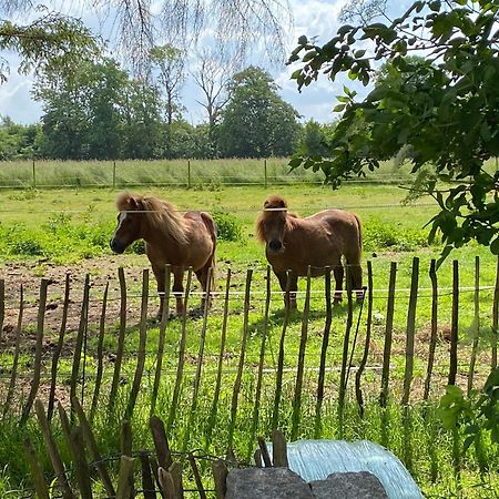 Tureby Bed & Breakfast 5 Min From E47 - Dogs Welcome - Cosy Farm Bnb المظهر الخارجي الصورة