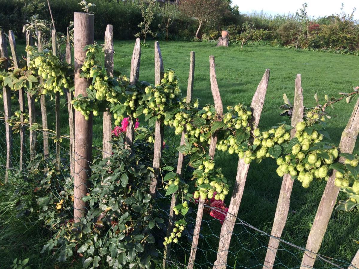 Tureby Bed & Breakfast 5 Min From E47 - Dogs Welcome - Cosy Farm Bnb المظهر الخارجي الصورة