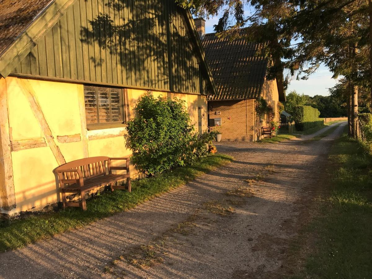 Tureby Bed & Breakfast 5 Min From E47 - Dogs Welcome - Cosy Farm Bnb المظهر الخارجي الصورة