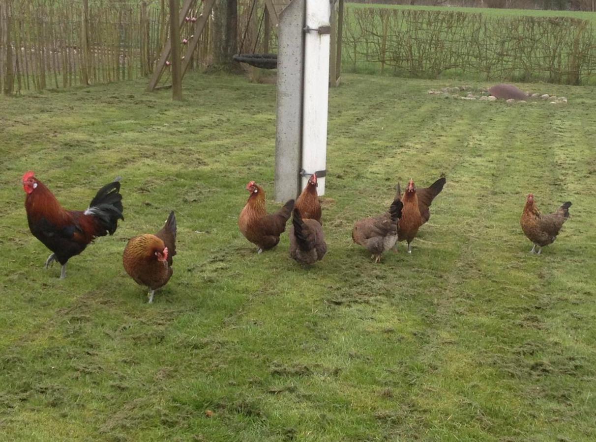 Tureby Bed & Breakfast 5 Min From E47 - Dogs Welcome - Cosy Farm Bnb المظهر الخارجي الصورة
