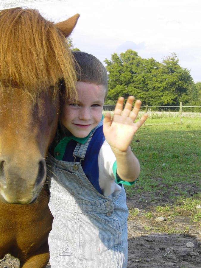 Tureby Bed & Breakfast 5 Min From E47 - Dogs Welcome - Cosy Farm Bnb المظهر الخارجي الصورة