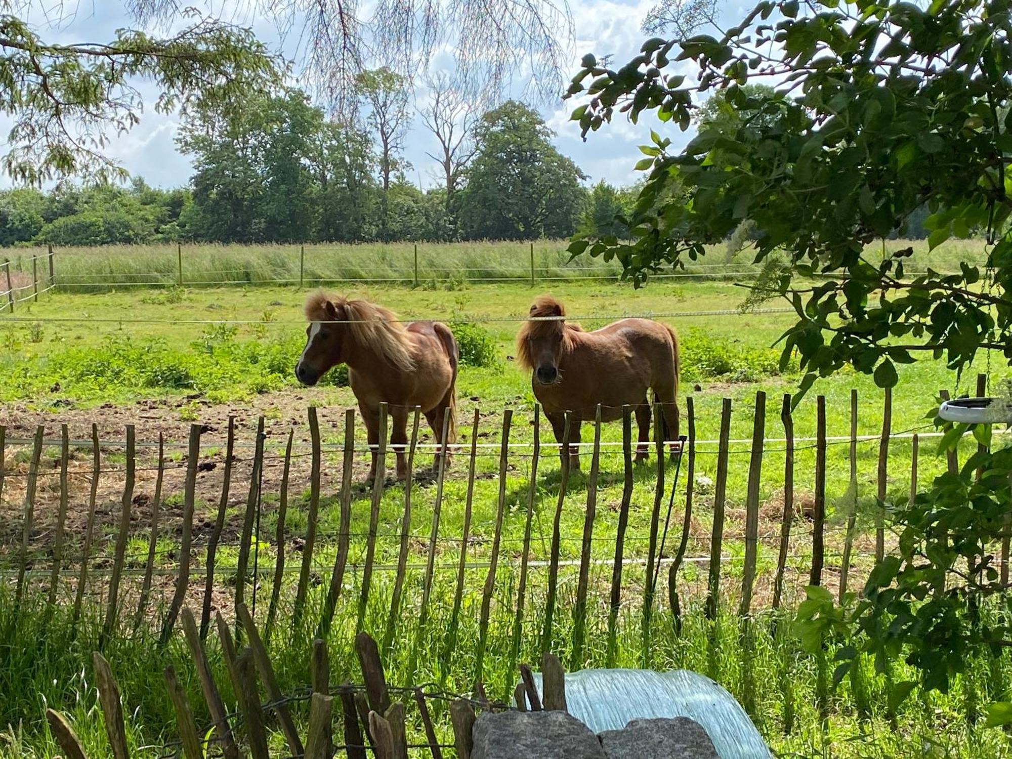 Tureby Bed & Breakfast 5 Min From E47 - Dogs Welcome - Cosy Farm Bnb المظهر الخارجي الصورة