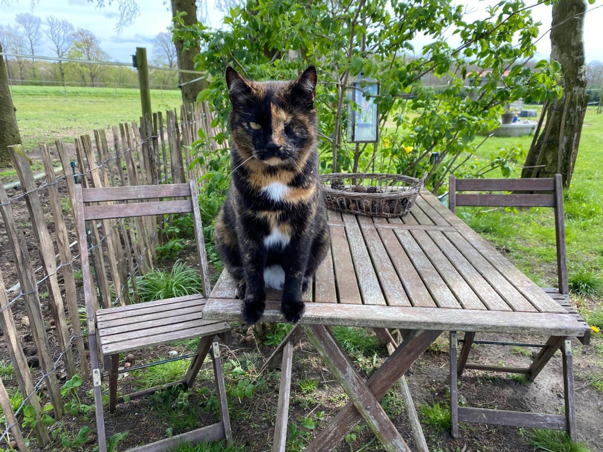Tureby Bed & Breakfast 5 Min From E47 - Dogs Welcome - Cosy Farm Bnb المظهر الخارجي الصورة